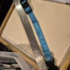 Turquois BAdjustable Dog Collar